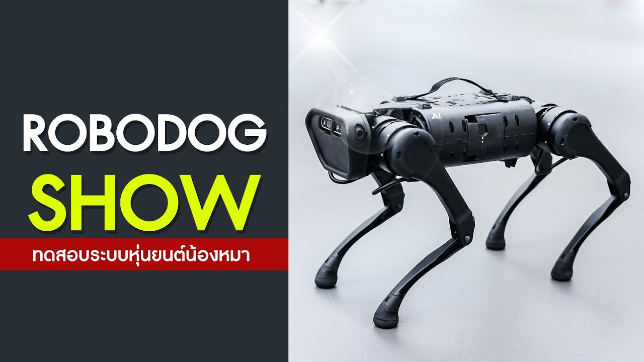หุ่นยนต์สุนัข  ROBODOG ทดสอบระบบ Ep.3