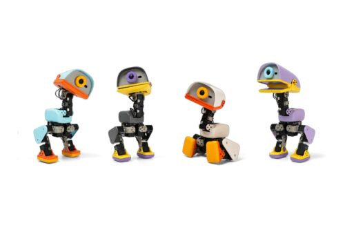 Micro Duck